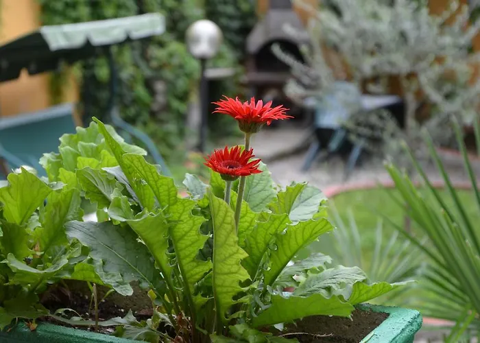 Cheta Gæstehus Milano