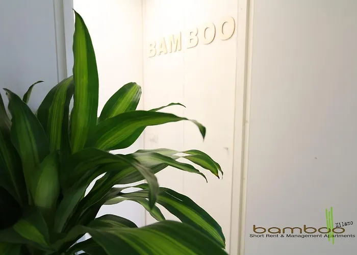 Bamboo Papiniano Loft Lägenhet