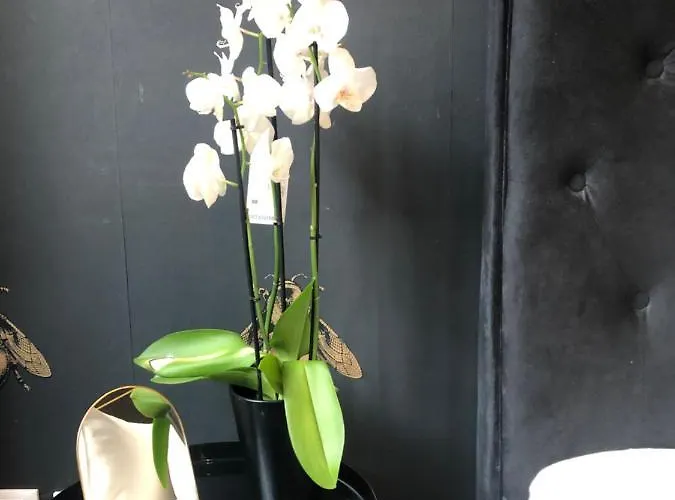 Lippi 42 With Private Garden Couette-café Milan