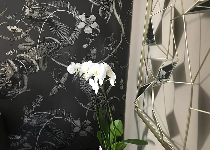 Lippi 42 With Private Garden Couette-café *