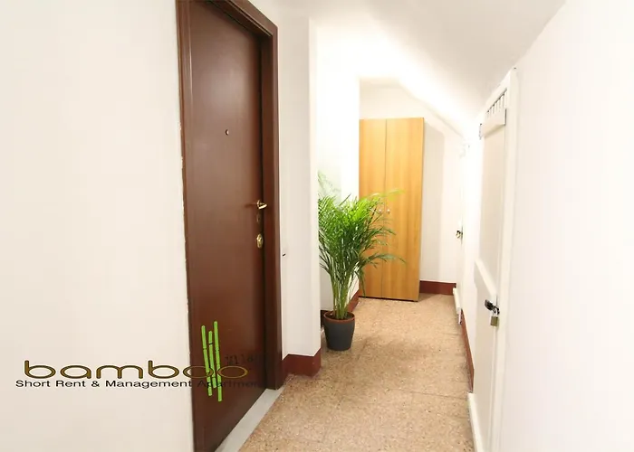 Bamboo Colletta * Milán
