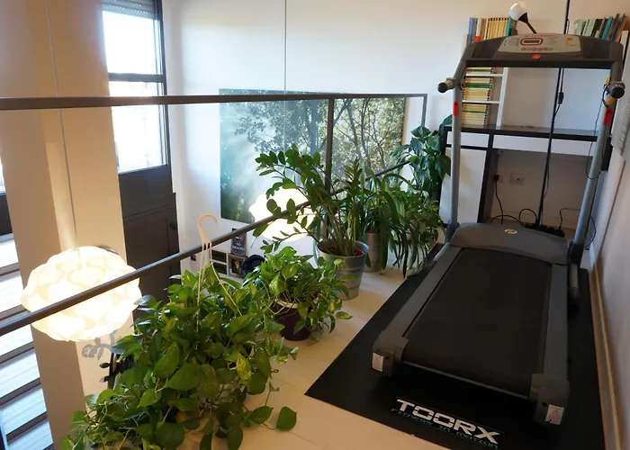 Star Loft 公寓 米兰