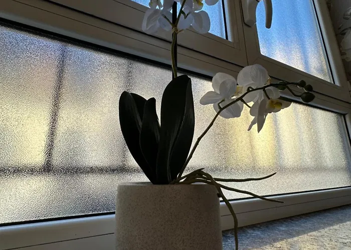 Flowers, A Cozy In