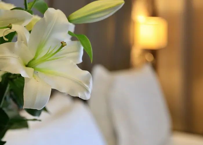 Hotel Klima Fiere Mediolan