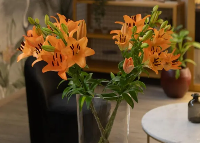 Hotell Kleos Citta Studi By Kleos Group Collection 3*