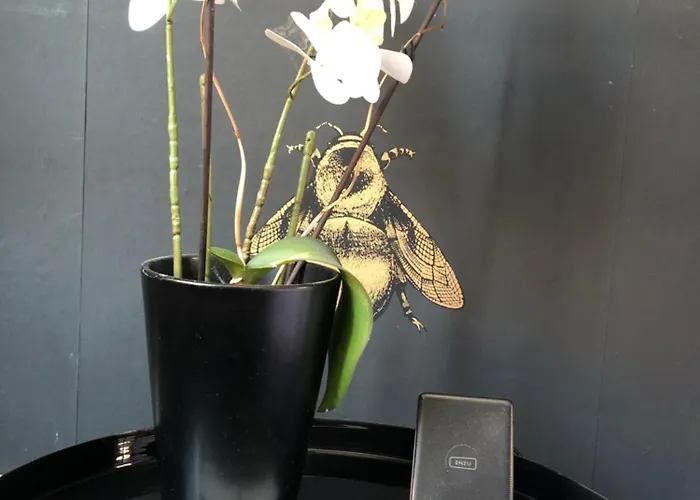 Lippi 42 With Private Garden Couette-café