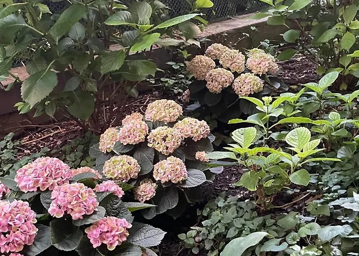 Colombia Отель Милан