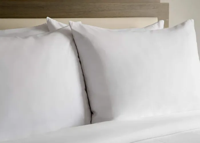 Hotel Marriott