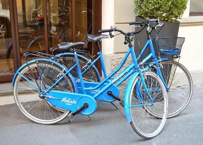 모킨바 바비에라 호텔