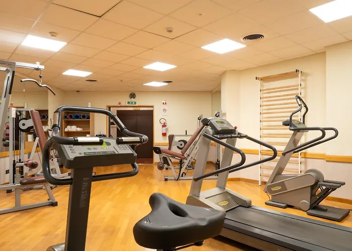 Otel Raffaello Milano