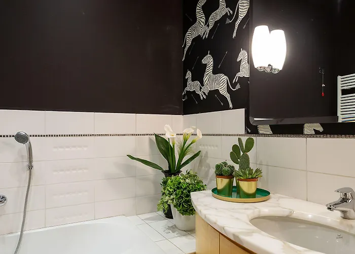 Zebra Naviglio 米兰