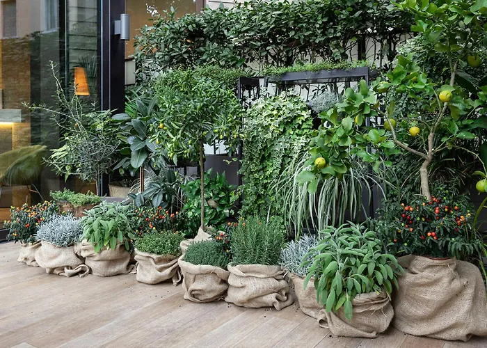 Szálloda Starhotels Echo 4*