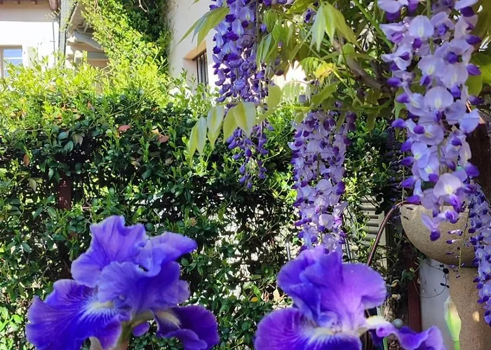 Homestay szállás Cascina Storica Con Giardino - Vicino A Stazione