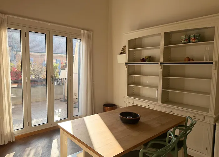 Urban Jungle 8 - Risorgimento *