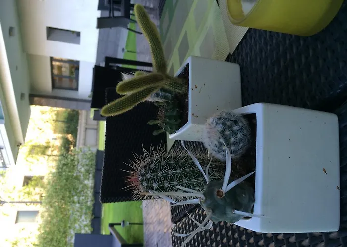 Acca Palace - Aa מילאנו