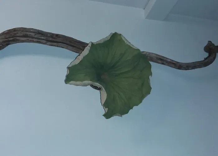 Bed+art Bed & Breakfast 3*