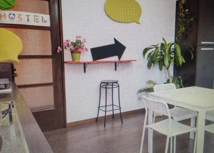 호스텔 패밀리