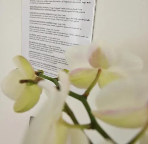 Experience Design Bed&show