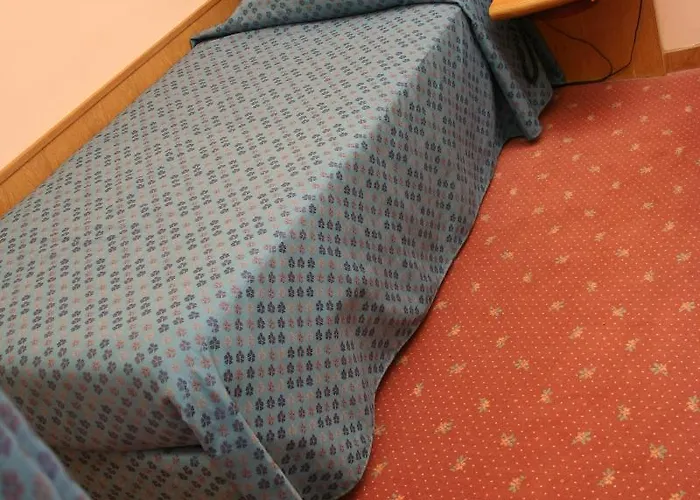 Hotel Albert Hotel 3*