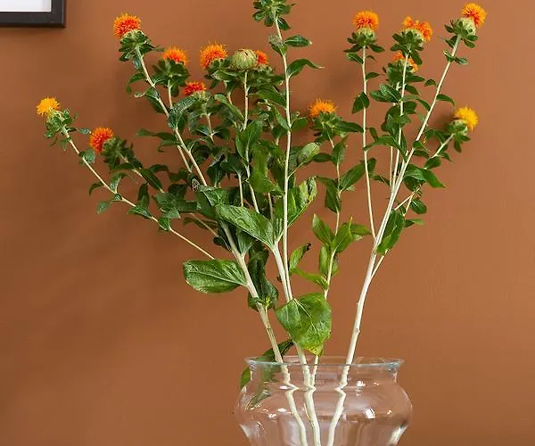 Zebra Naviglio 招待所 米兰