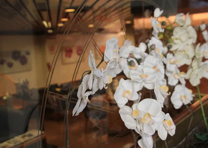 Hotel Lido