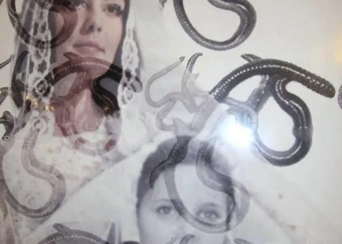 فندق Virgilio ميلان