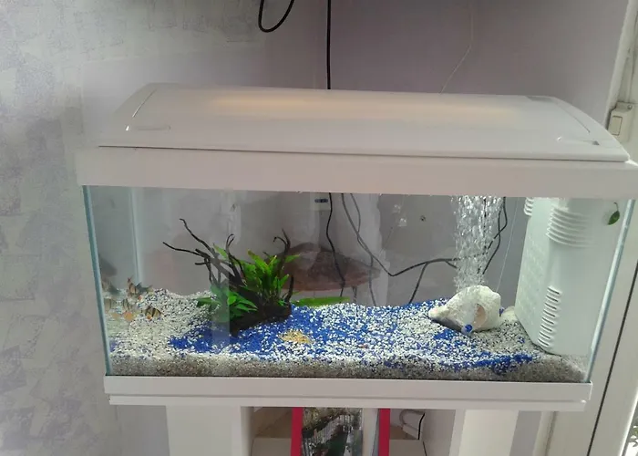 ゲストハウス House