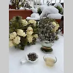 شقة Duomo Milano Apartment 2 Rooms Slow Maison *
