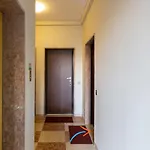 Gioia Short *