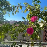 招待所 Flowers 3*