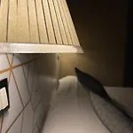 Lion بيت ضيافة *