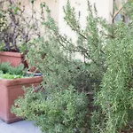 Sempione Split-level Terrace - Collection 아파트 *