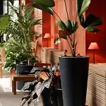 Aparthotel Pian Della Nave Milano