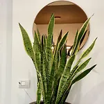 Garden View With Parking - Teodorico Apartamento *