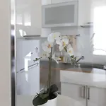 Alojamento de Acomodação e Pequeno-almoço Brera