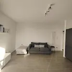 Corvetto 7 *
