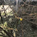 Missori Rose Garden View Appartement Milan