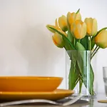 Brio74 Apartamento *