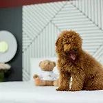 Quark Hotel Milaan