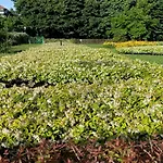 Le Jardin Secret شقة ميلان