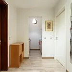 Attico Con Terrazzo - - Duomo 10 Min