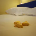 Hotel My Milano