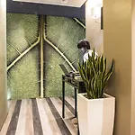 招待所 情缘客房酒店 4*
