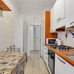 Oasis *