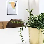 Italianway - Lazzaro Palazzi 6 *