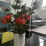 Downtown Apartment, Peace &sport ミラノ