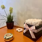 Bilo Lumiere - 1 Bedroom - Close To Gambara M1 And Tolstoj M4 شقة