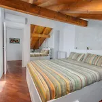 شقة Homey Grandeur - Spacious With Terrace & Wi-fi