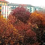 Cenn 8 Milan