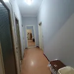 Lz *